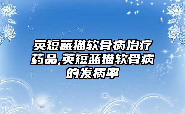 英短藍(lán)貓軟骨病治療藥品,英短藍(lán)貓軟骨病的發(fā)病率