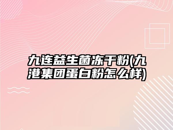 九連益生菌凍干粉(九港集團(tuán)蛋白粉怎么樣)