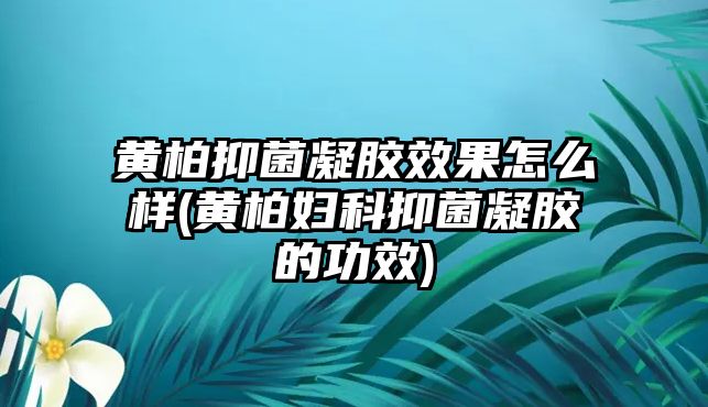 黃柏抑菌凝膠效果怎么樣(黃柏婦科抑菌凝膠的功效)